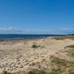 Strand mit Sand und Gras, Meer und blauer Himmel