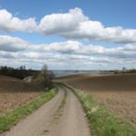 Dreckiger Weg durch Felder mit Blick auf See und Himmel mit Wolken.