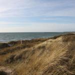 Strandlandschaft mit Dünen und Meer unter blauem Himmel