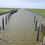 Wasserkanal mit Pfählen und grünen Uferbereichen.