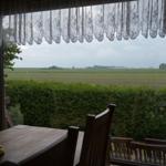 Durch das Fenster blickt man auf ein grünes Feld und einen Heckenrand.