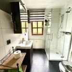 Badezimmer mit Dusche, Waschbecken und Fenster in der Ferienwohnung Harztraum an der alten Stadtmauer in Blankenburg