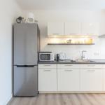 Küche mit Kühlschrank, Dunstabzug und Arbeitsfläche