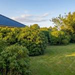 Garten mit Rasenfläche, Sträuchern und blauem Dach im Hintergrund.