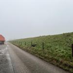 View of a road with grassy slopes and a house on the left