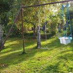 Ein Schaukelstuhl mit blauen Seilen steht im Garten. Hinter ihm sind Bäume und Sträucher.