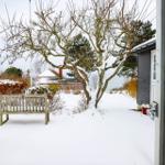 Schnee bedeckt den Garten mit Bank und Baum. Haus mit weißen Türen und Fenstern.