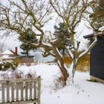 Schneelandschaft mit schwarzem Haus, weißer Tür und kahlen Bäumen.