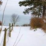 Schneebedeckter Weg führt zu einem Blick auf das Meer.