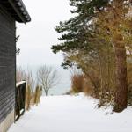 Schneebedeckter Weg führt vom Haus zur Küste durch Bäume.