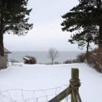 Schneebedeckter Weg führt zu einem See mit Holzhaus und Bäumen.