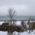Schneebedeckter Blick auf das Meer mit kahlen Bäumen und Sträuchern.