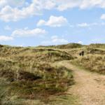 Weg durch Dünenlandschaft unter blauem Himmel mit zwei Personen