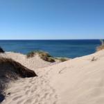 Strandabschnitt bei der Kreptitzer Heide