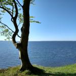 Der Große Jasmunder Bodden