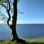 Der Große Jasmunder Bodden