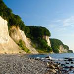 Steilküste mit Wald und Steinstrand am Meer.