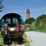 Pferdekutsche beim nahen Kap Arkona