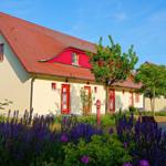 Ein hellgelbes Haus mit rotem Dach und roten Fensterrahmen. Vorgarten mit lila Lavendel.