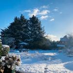 Schneebedeckter Garten mit Bäumen und einem Pavillon unter blauem Himmel.