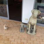 Ein kleiner Hund steht an einer Leine neben zwei Steinfiguren von Hunden vor einer Tür.