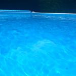 Ein blauer Pool mit weißem Rand und grüner Umgebung.