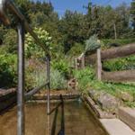 Ein Holzgeländer und Metallgeländer flankieren einen Bach im Wald.
