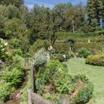 Garten mit Grasfläche, Sträuchern und einem kleinen Teich.