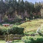 Hütte in grüner Umgebung mit Wald und Garten