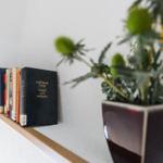 Regal mit Büchern und Pflanze in Vase