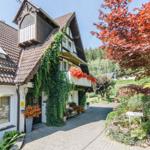 Haus mit Steinweg, Efeu an Fassade, Blumen und Wald im Hintergrund.