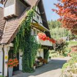Altes Haus mit Balkon, Kletterpflanzen und Blumenbeeten