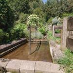 Ein kleiner, natürlicher Whirlpool im Garten mit Holzgeländer und Pflanzen.