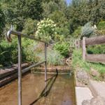 Ein kleiner Bach mit Metallgeländer und Holzgeländer im Garten.