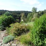 Garden with seating area and view of forest