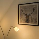 Two floor lamps and a framed picture of a deer on the wall.