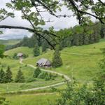 Huts on green hillside with forest and narrow road.