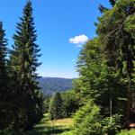 Forest path with view of wooded hills under blue sky with one cloud.