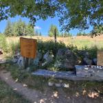 Wooden bench and grill area under trees with signs in the garden.