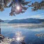 Snow-covered trees frame a lake with sunlight and forested hills in the background.