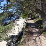 Path along a lake under trees with stones by the shore.