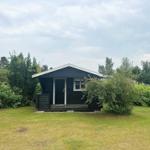 Black wooden house with white window frames and door, surrounded by grass and shrubs.