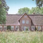 Haus mit strohgedecktem Dach und weißen Fenstern in grüner Umgebung.