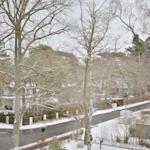 Schneebedeckte Bäume und Straßen im Winter. Blick auf eine ruhige Wohngegend.