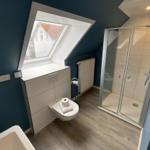 Badezimmer mit Dusche, WC und Dachfenster. Holzdielenboden und blaue Wände.