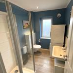 Badezimmer mit Dusche, WC und Waschbecken. Blaue Wände und Holzboden.