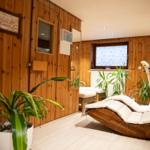 Raum mit Holzwand, Liege, Fahrradtrainer und Pflanzen