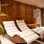 Zwei Liegestühle mit Kissen stehen in einem Raum mit Holzwand und Pflanzen.