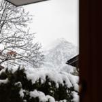 Schneebedeckte Bäume und Berge sind durch ein Fenster sichtbar.