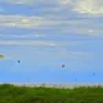 Kitesurfing kites fly over sea and beach.